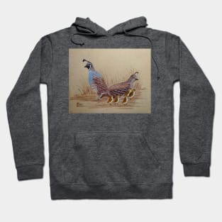 California Quail with Chicks Hoodie